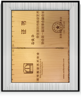 陳設(shè)協(xié)會(huì)副會(huì)長(zhǎng)